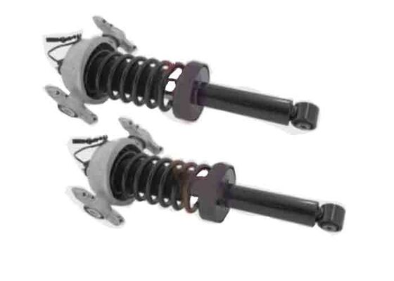 7P6513029AS 7P6513029BC Rear Shock Absorber Strut Assys w/PASM For Porsche Cayenne 958 92A VW Touareg 2011-2018.
